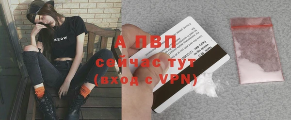 спайс Богородицк
