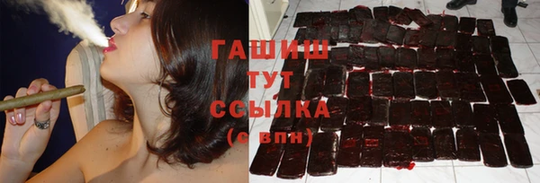 гидра Богородск