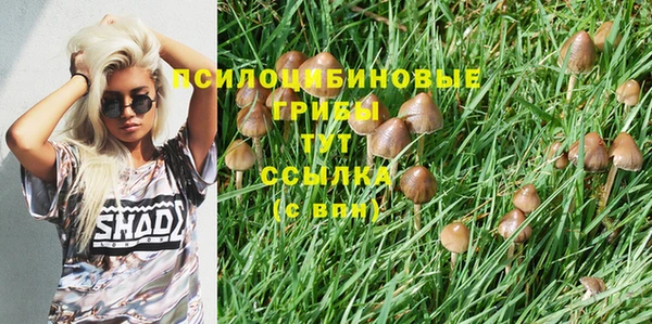 МДПВ Белокуриха