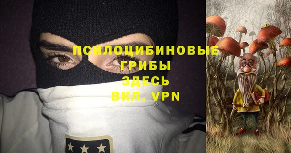 гидра Богородск