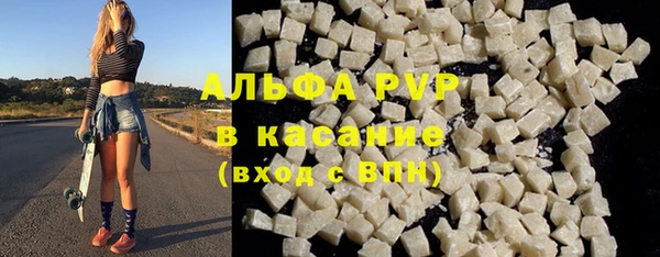 гидра Богородск
