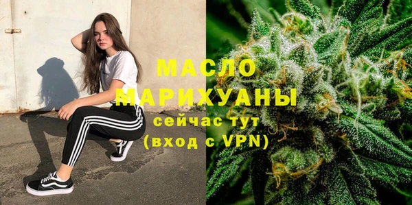 гидра Богородск
