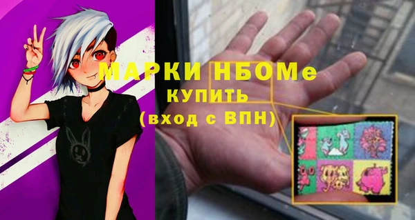 гидра Богородск
